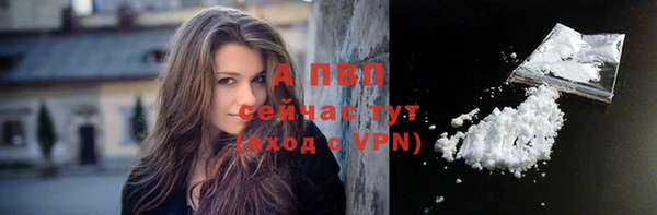 молекула духа Надым