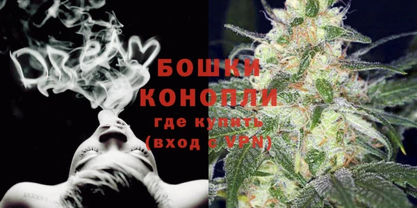 молекула духа Надым