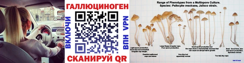 Галлюциногенные грибы мицелий  Купить где  Купино 